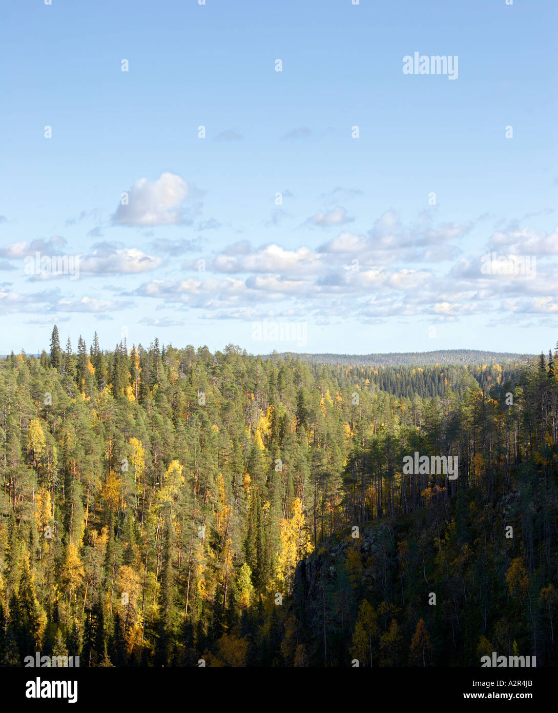 A view in Oulanka National Park, Kuusamo, Finland Stock Photo