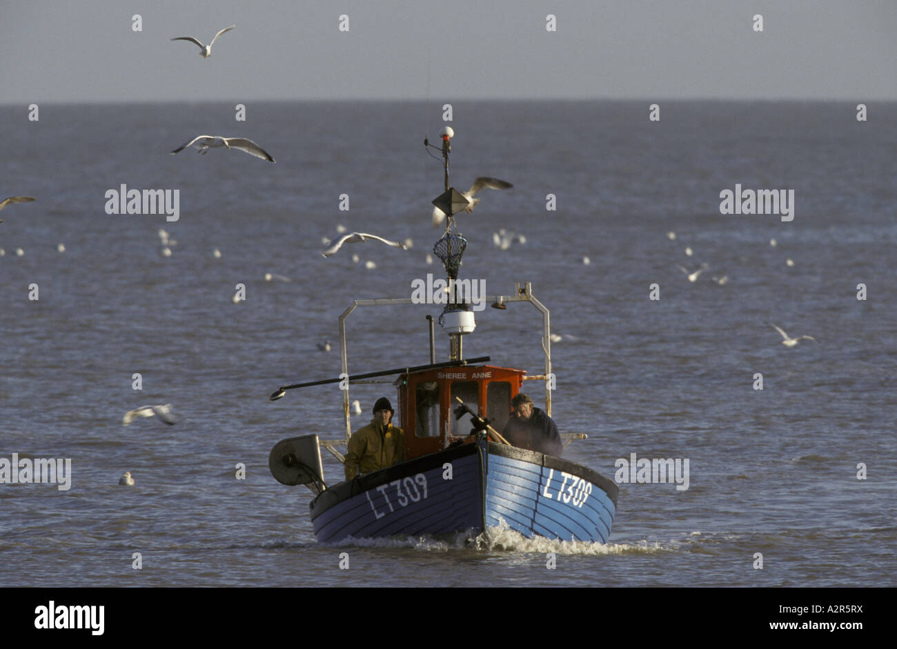Birds following fishing boat hires stock photography and images Alamy