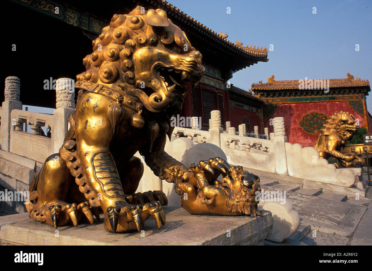Golden lion statues Forbidden city Beijing China Stock Photo Alamy