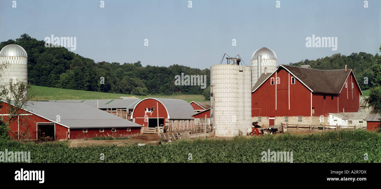 Panoramic view of Wisconsin Dairy Farm Stock Photo - Alamy