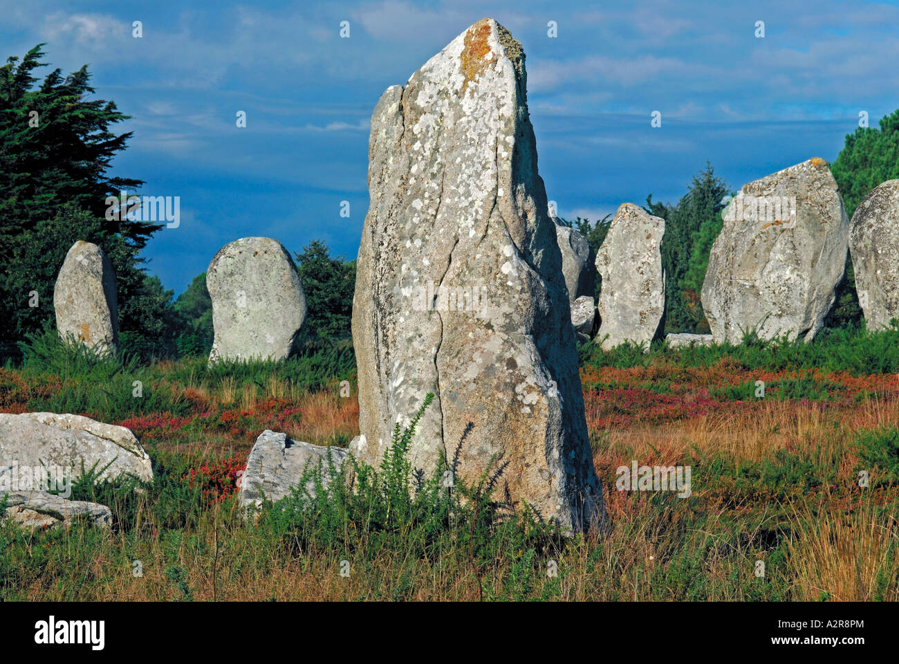 Menhir of the Alignment Kermario, Carnac, Brittany, France Stock Photo