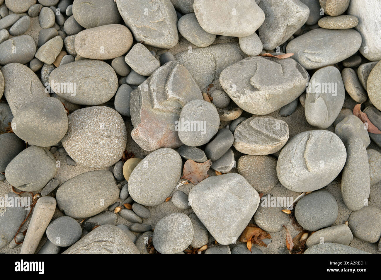 Water worn stones on beach Bruny Island Tasmania Stock Photo Alamy