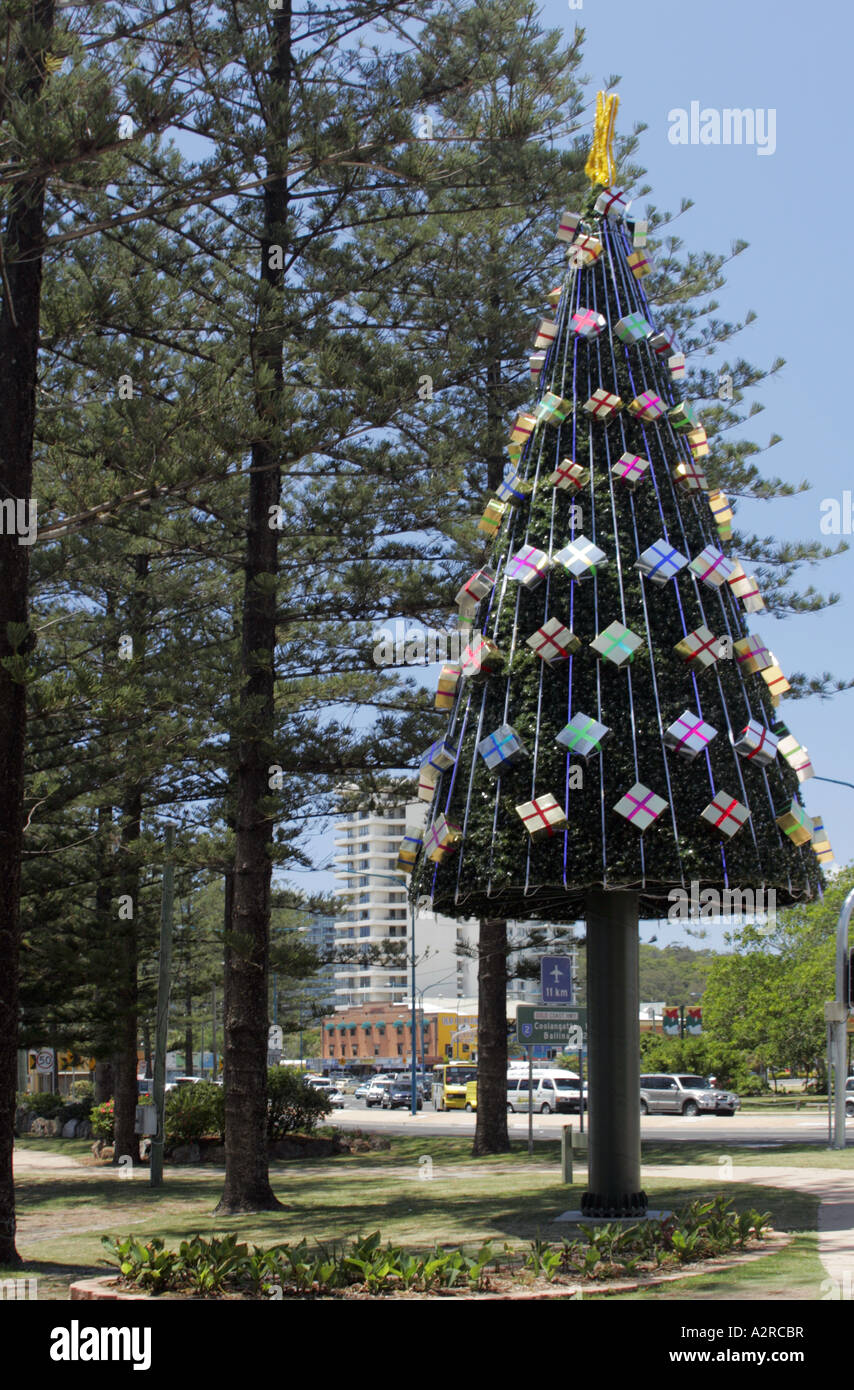 Gold Coast christmas tree Stock Photo Alamy