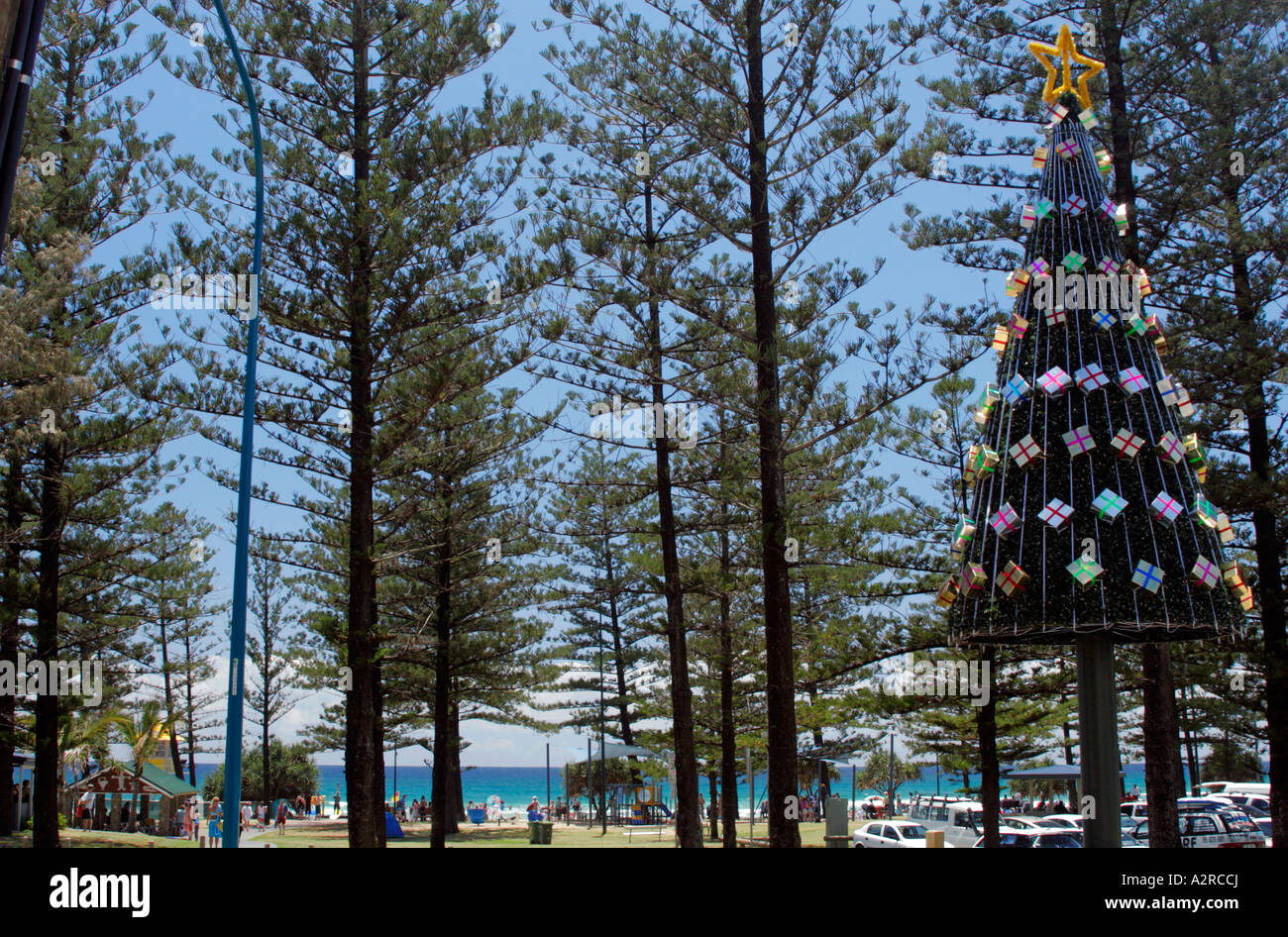 Gold Coast christmas tree Stock Photo Alamy