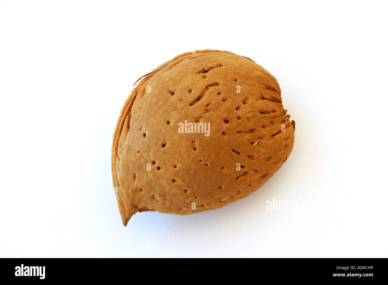 Nut01001 hires stock photography and images Alamy