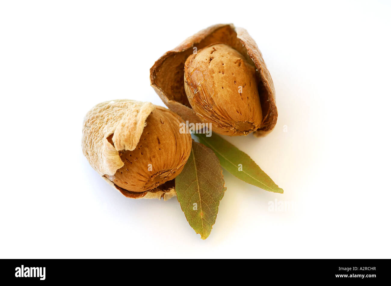 Almonds in their shells and hulls on white background Stock Photo Alamy