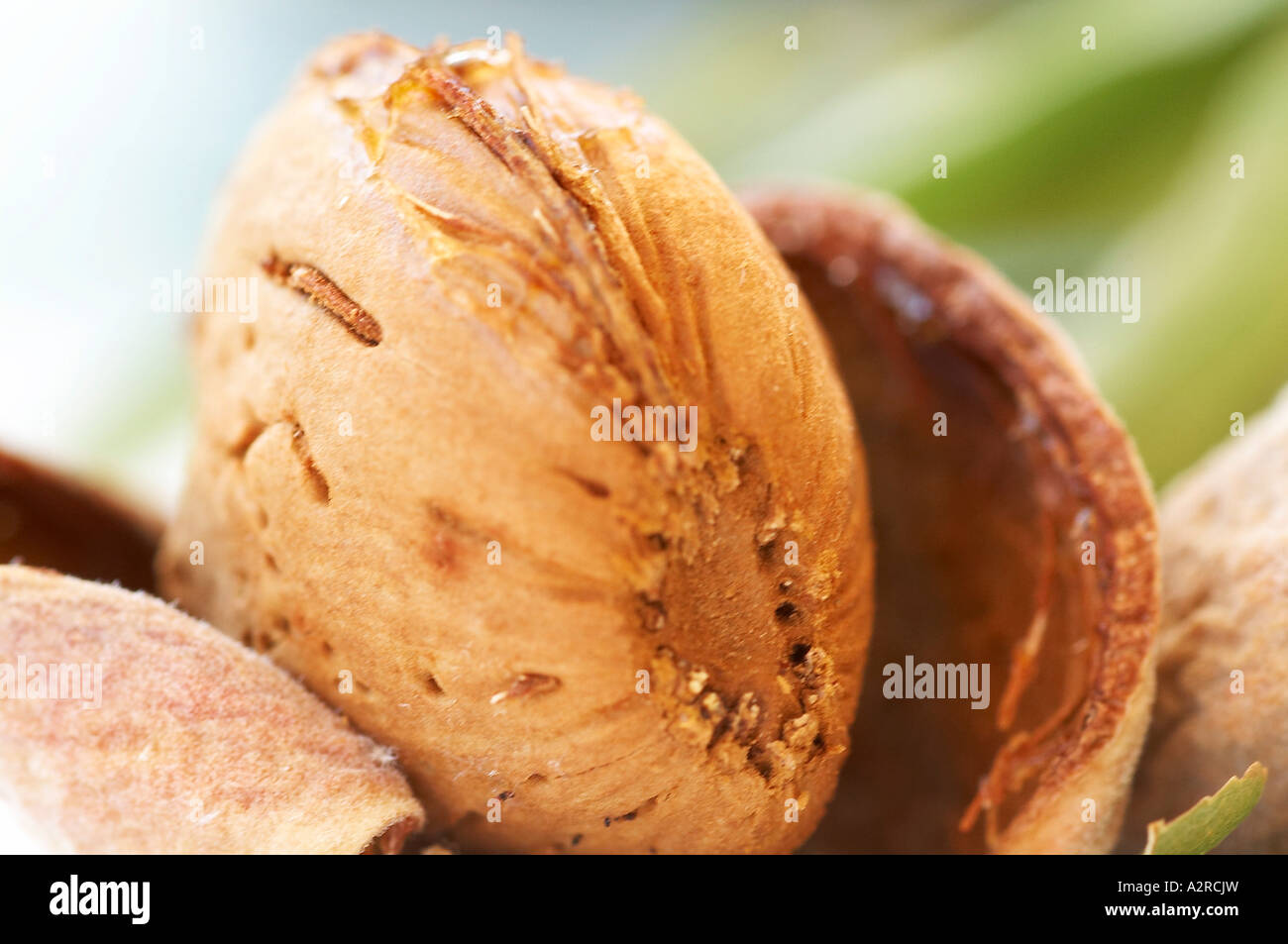 Almonds in its shell on white background Stock Photo Alamy