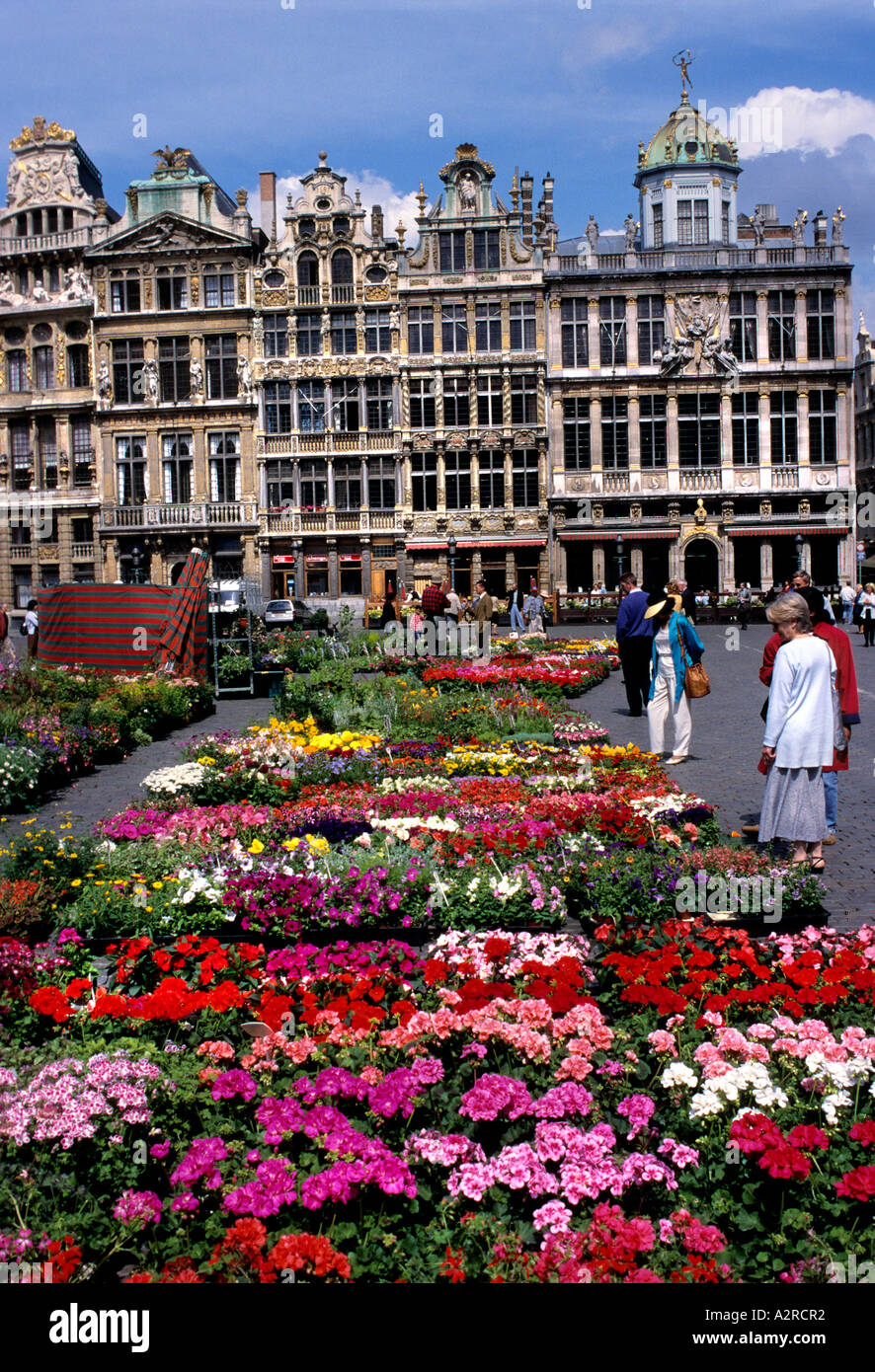 Brussels flower market hi-res stock photography and images - Alamy
