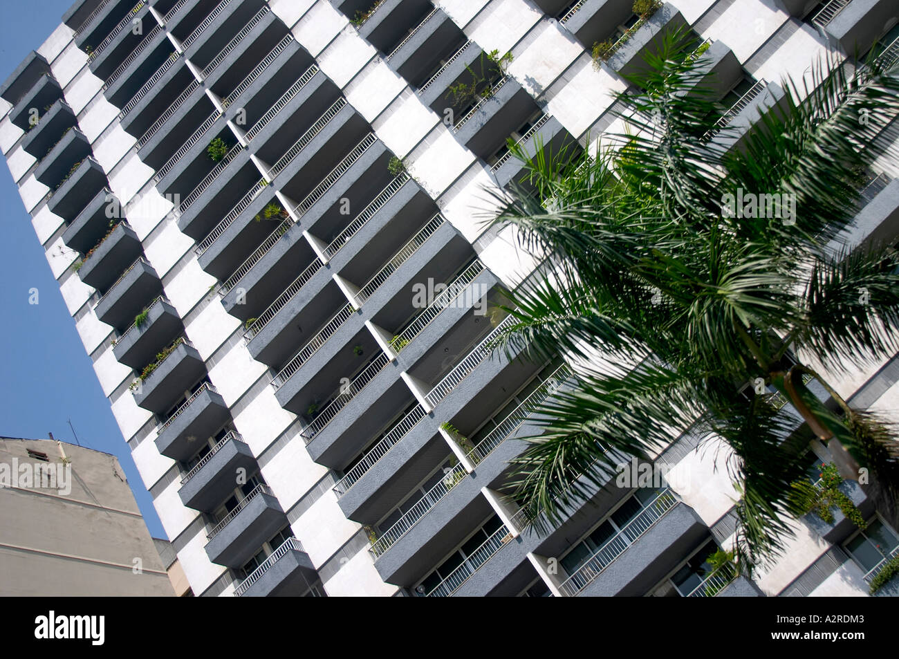 A tall Modern residential building flats with a plam tree Copacabana