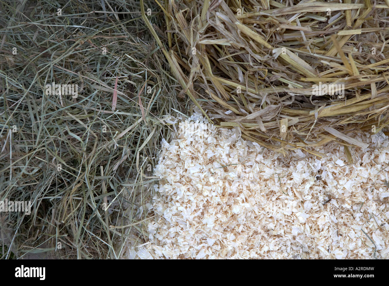Pet bedding Hay straw and wood shaving are ideal high fibre materials for  composting Stock Photo - Alamy