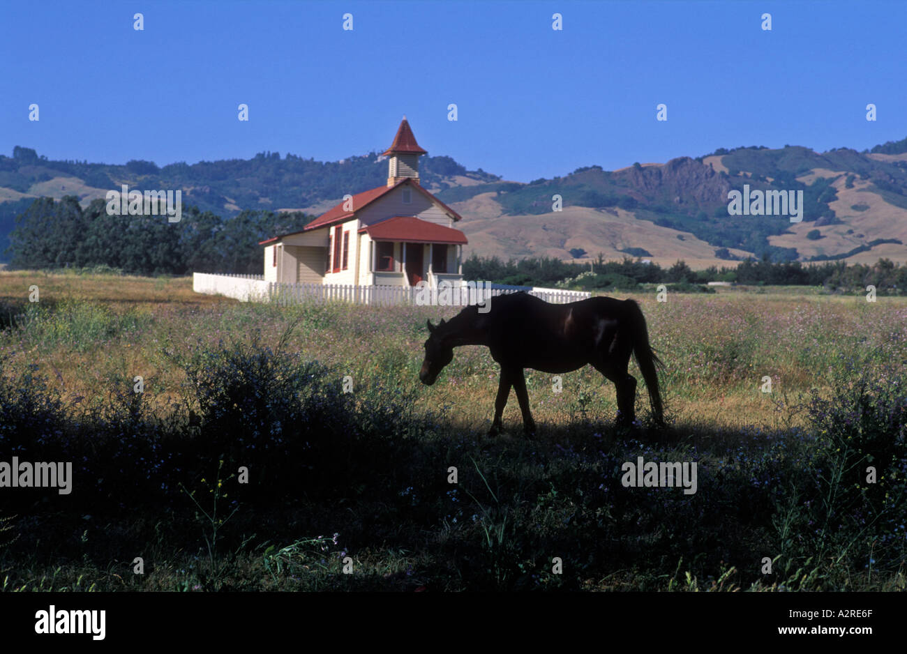 USA California San Simeon silohuette of horse and old house in a field Stock Photo