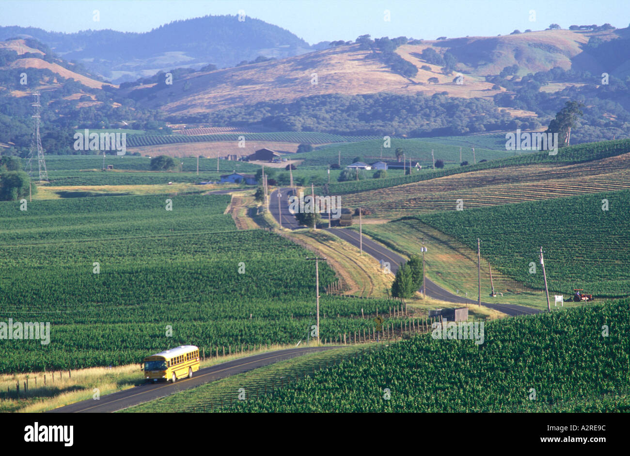 USA California Napa Valley Carneros Valley School bus on bus route through road in vineyards Stock Photo