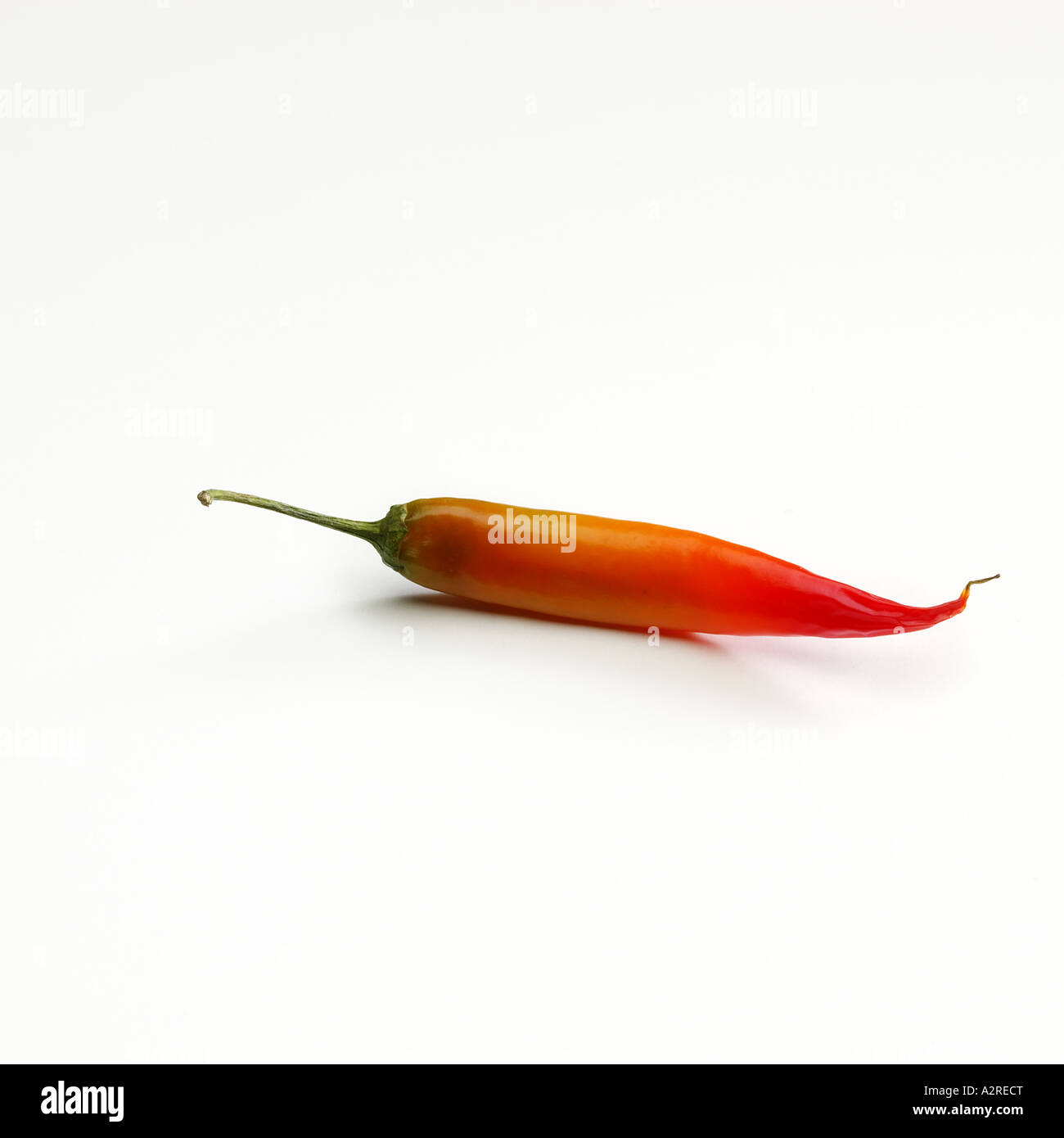 Chili serrano Stock Photo