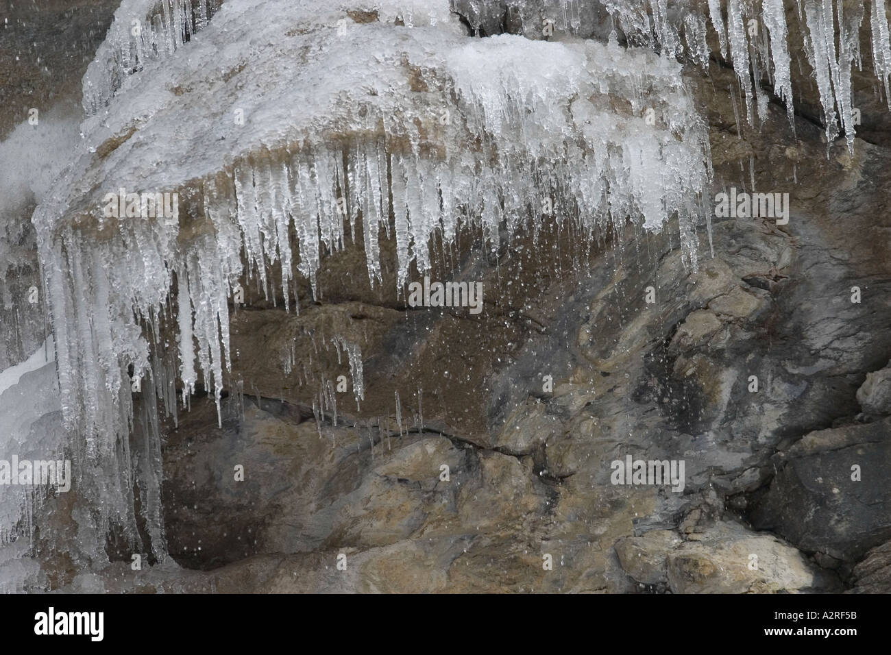 Melting icicles Stock Photo
