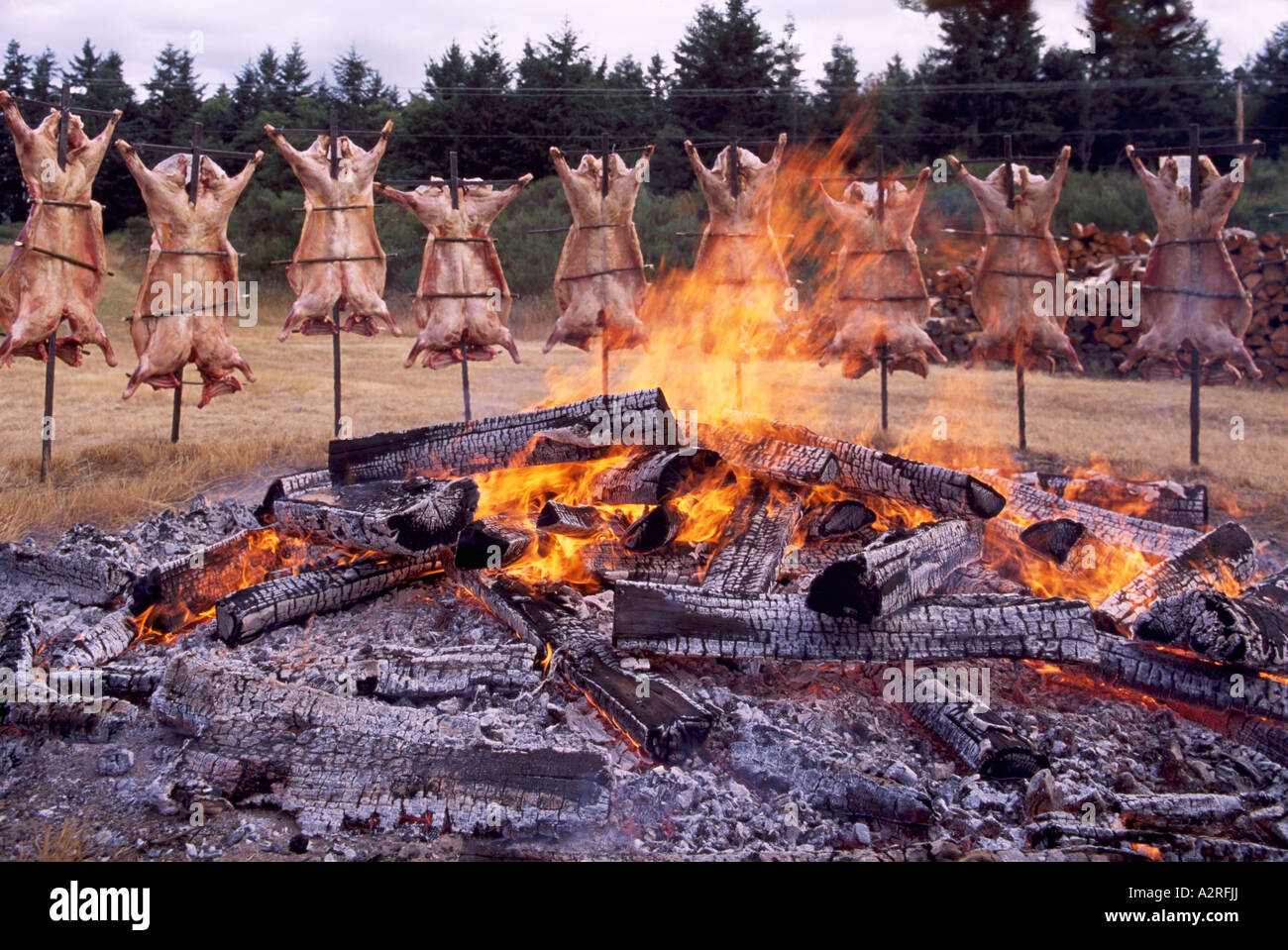 Saturna Island Lamb Barbecue, Southern Gulf Islands, BC, British Columbia, Canada Annual