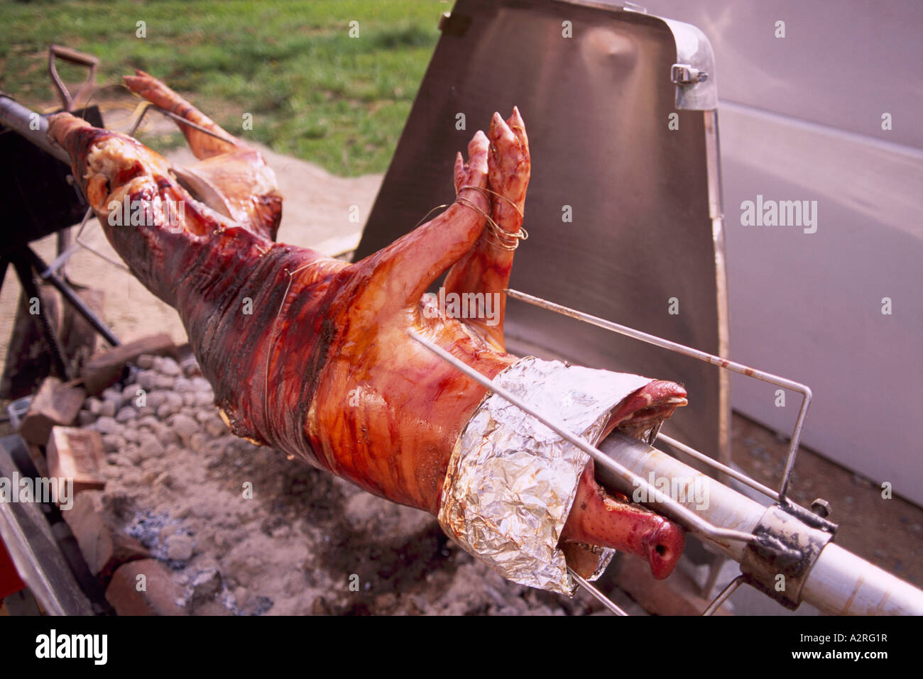 Pig Roast - Hog skewered on a Rotisserie Spit and rotating and roasting over an Open Fire Pit Stock Photo