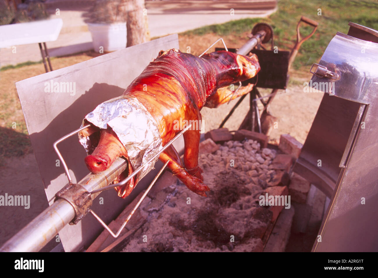 Pig Roast - Hog skewered on a Rotisserie Spit and rotating and roasting over an Open Fire Pit Stock Photo