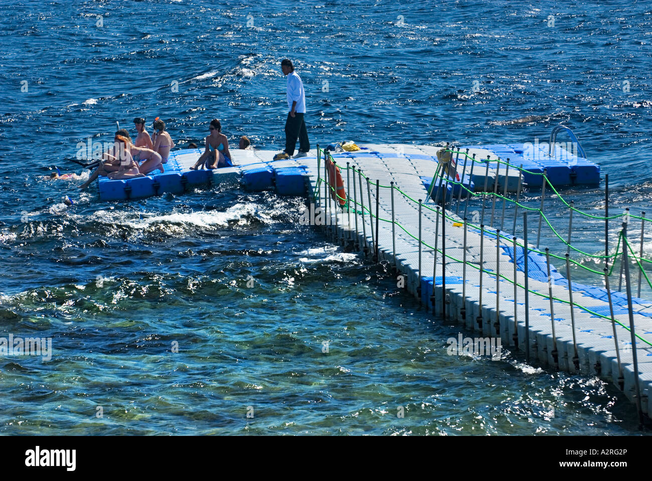 swimming platform base diver  HOUSEREEF house reef riff Sharm El Sheikh EGYPT Om El Sid Plateau Stock Photo