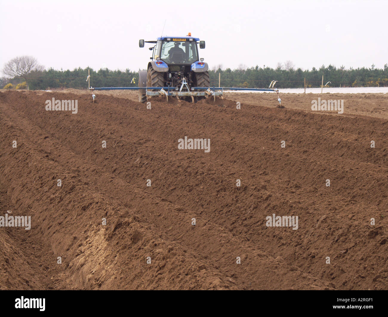 Tractor ploughing field Suffolk England Stock Photo Alamy
