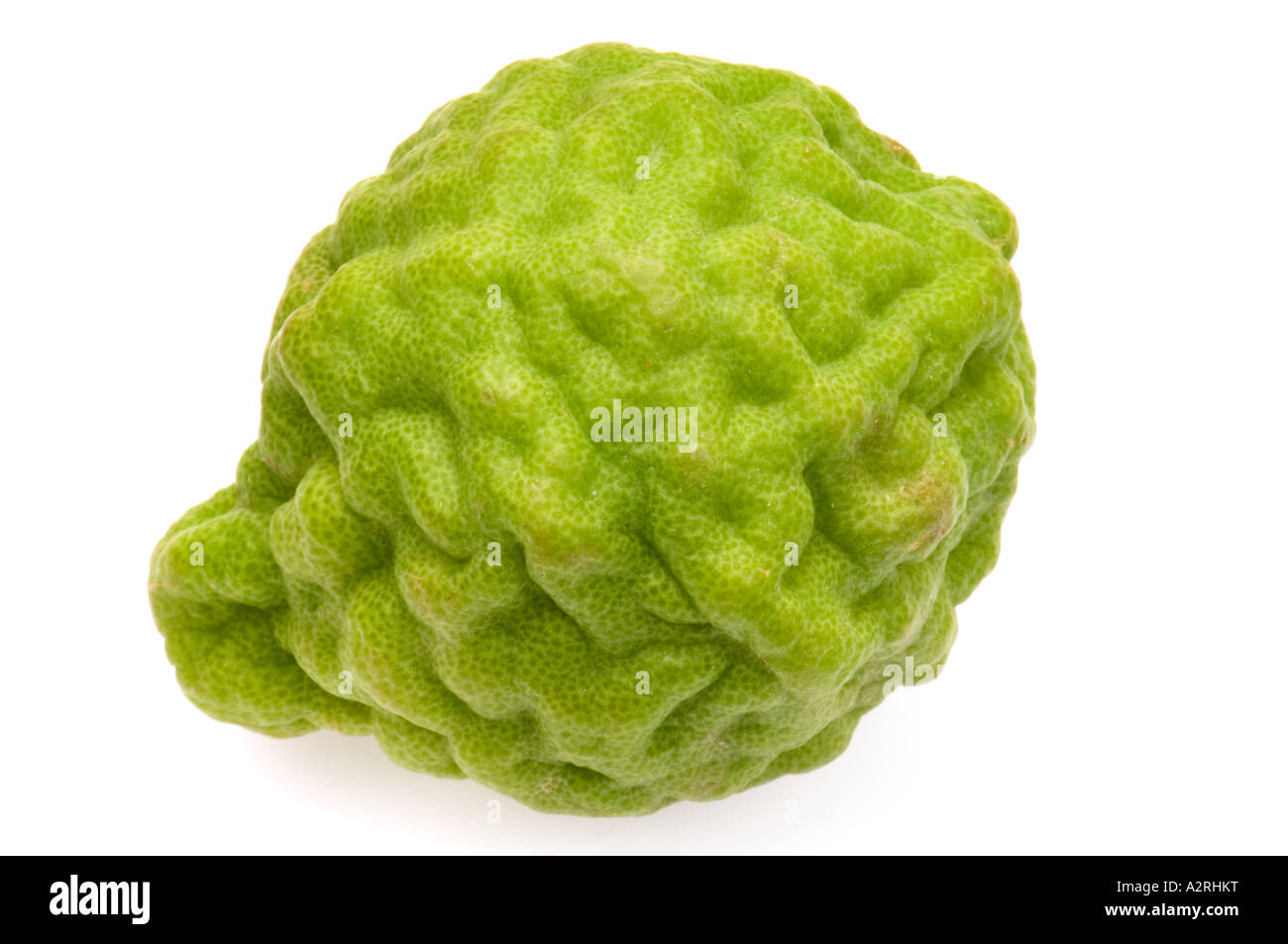 Kaffir Limes High Resolution Stock Photography and Images - Alamy