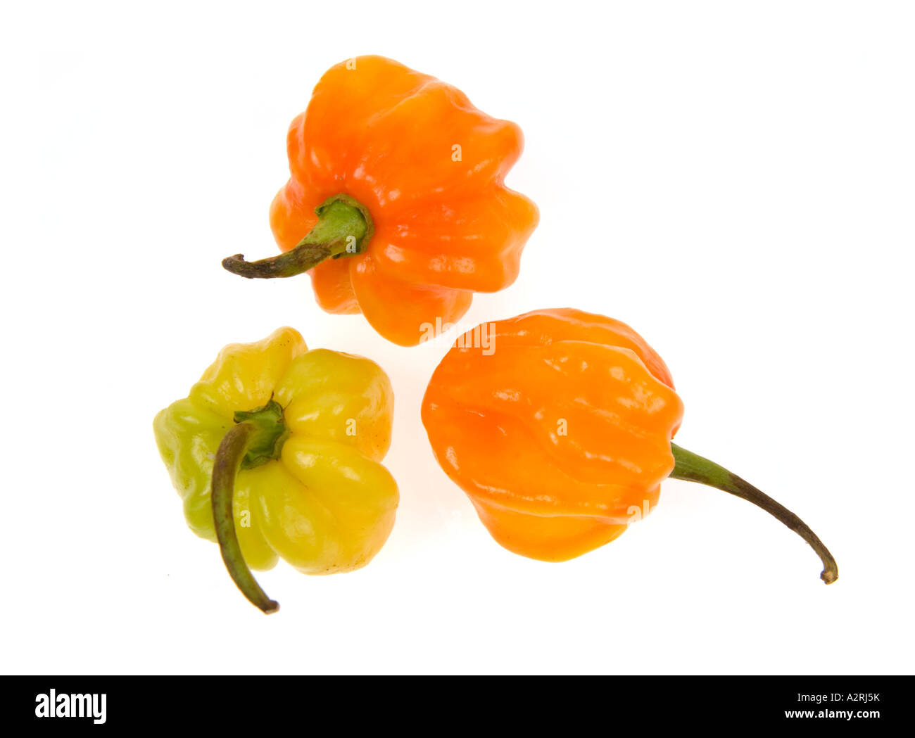 HABANEROS  chilli very Hot spicy chilli peppers yellow green orange red 3 three Stock Photo