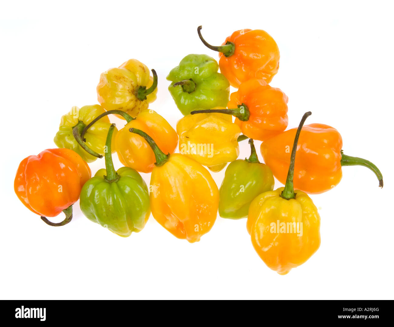 HABANEROS  chilli very Hot spicy chilli peppers yellow green orange red Stock Photo