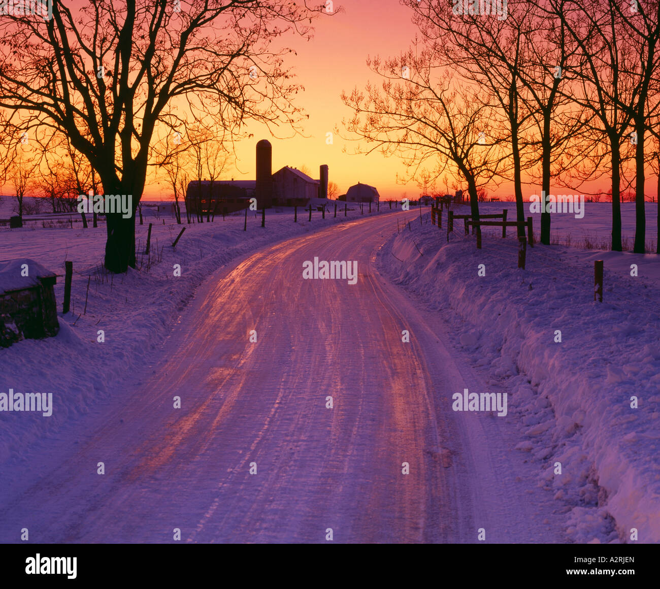 SUNSET SHINING ON ICY FARM LANE TO DAIRY FARM / PENNSYLVANIA Stock