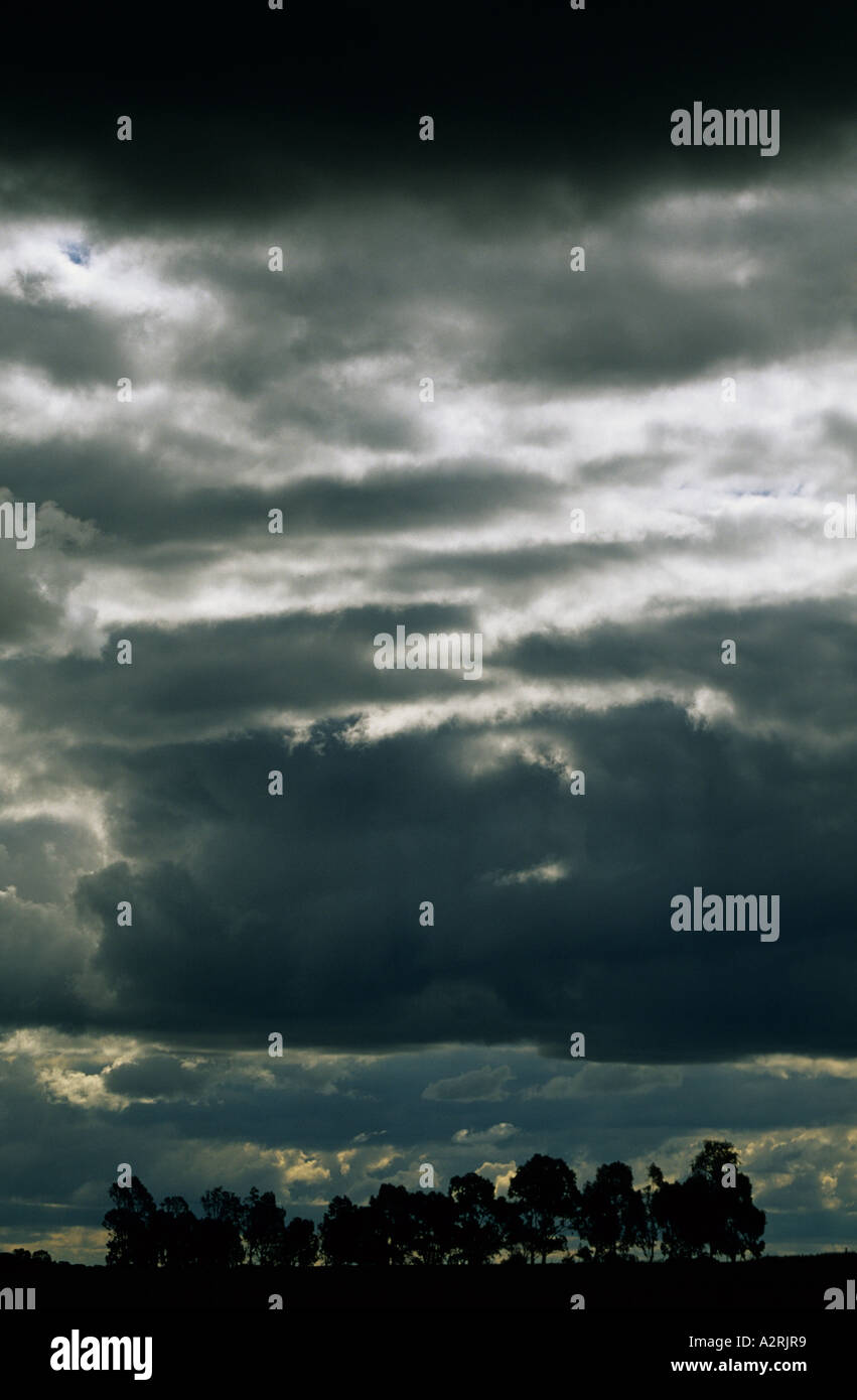 Storm Clouds and Trees Dalwallinu Western Australia Stock Photo - Alamy