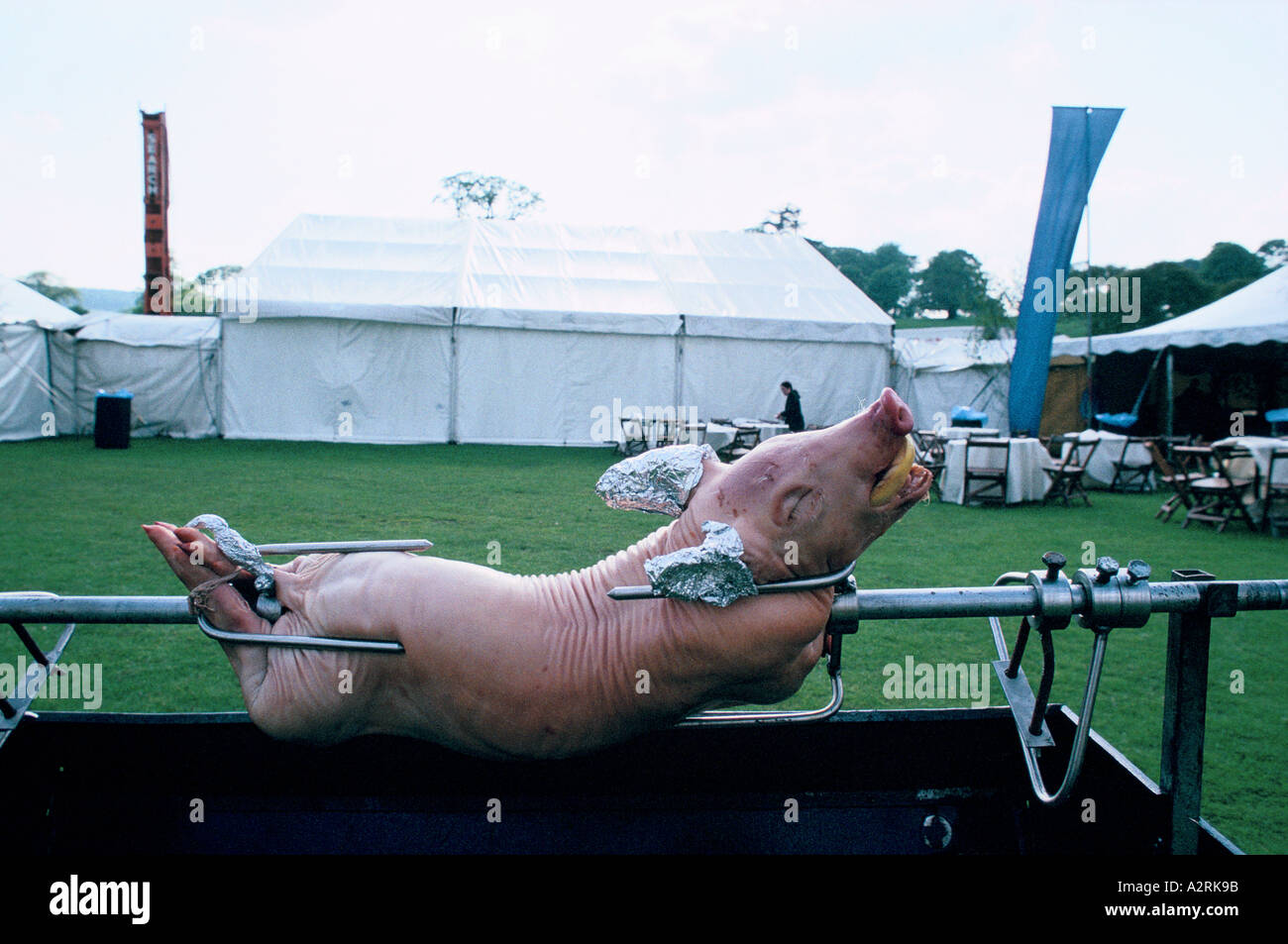 pig ready for roasting chatsworth Stock Photo