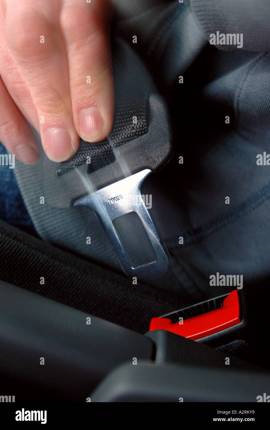 BUCKLING A MOTOR CARS SEAT BELT Stock Photo Alamy
