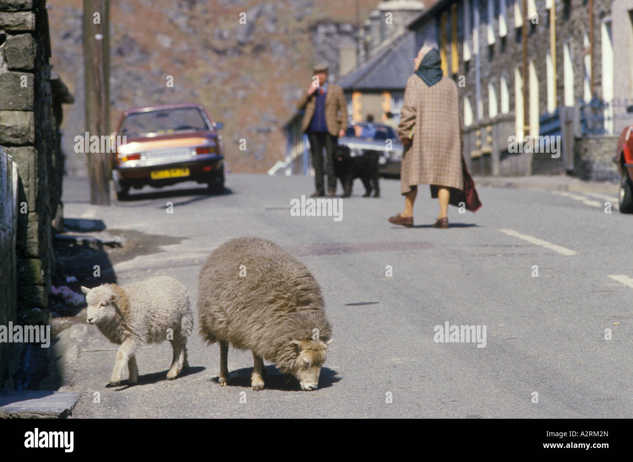 Hillside circa hires stock photography and images Alamy