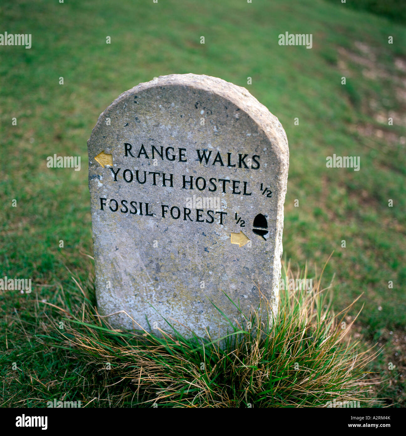 Marker Stone on the Range Walk Fossil Forest and Youth Hosetle destinations Lulworth Cove Dorset England Stock Photo