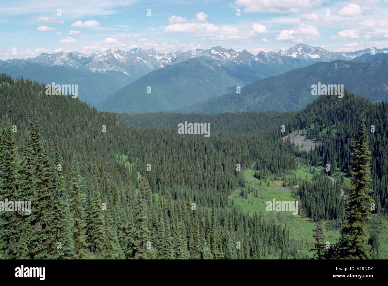 View of the Selkirk Mountains and Coniferous Forests from Idaho Peak in the Kootenay Region of British Columbia Canada Stock Photo