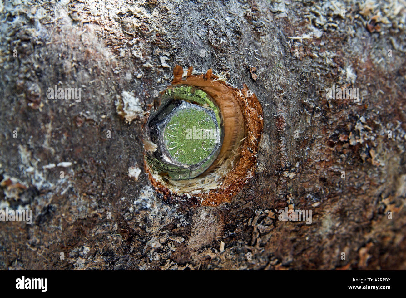 Lag bolt hires stock photography and images Alamy