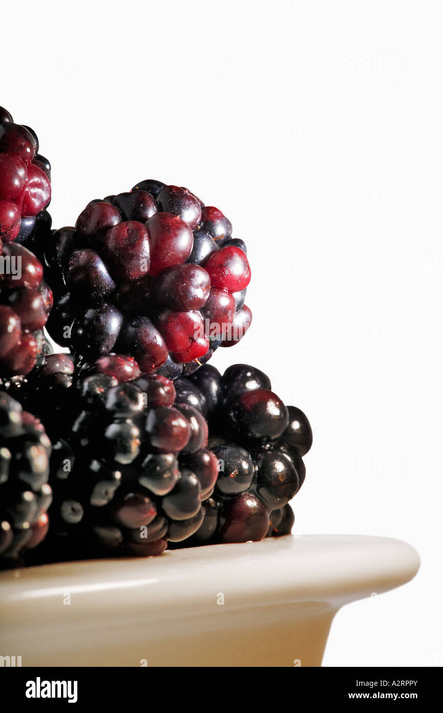 Blackberries in white bowl White background Studio shot Stock Photo