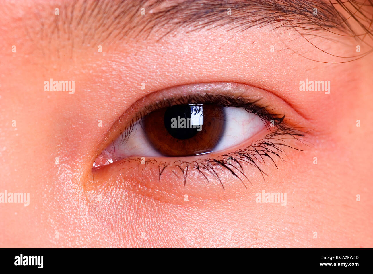 Extra Close Up Of Left Eye Of Beautiful Asian Female Stock Photo