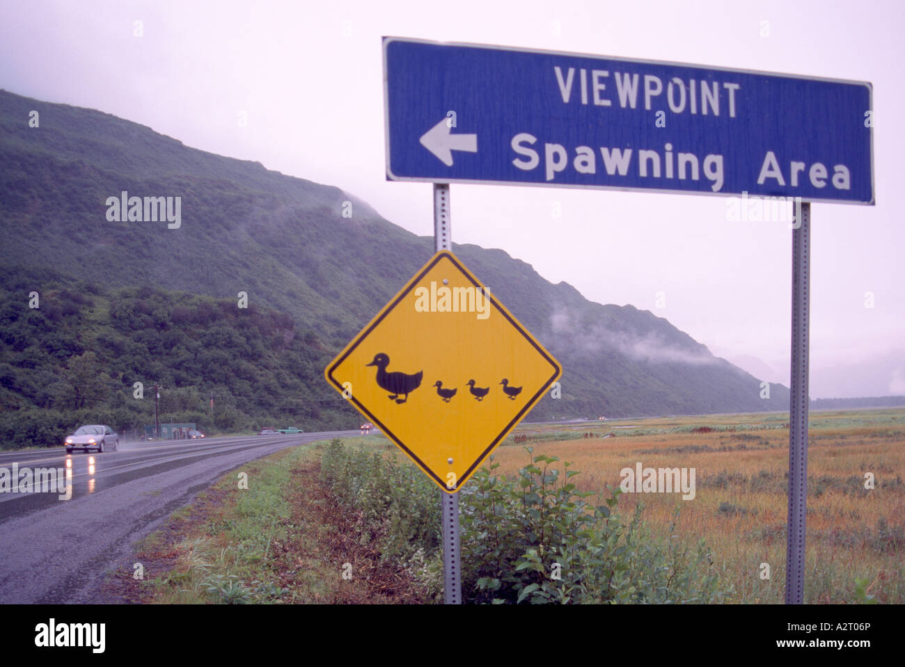 Road Sign, Caution Signs - Ducks / Duck and Waterfowl Crossing Stock Photo