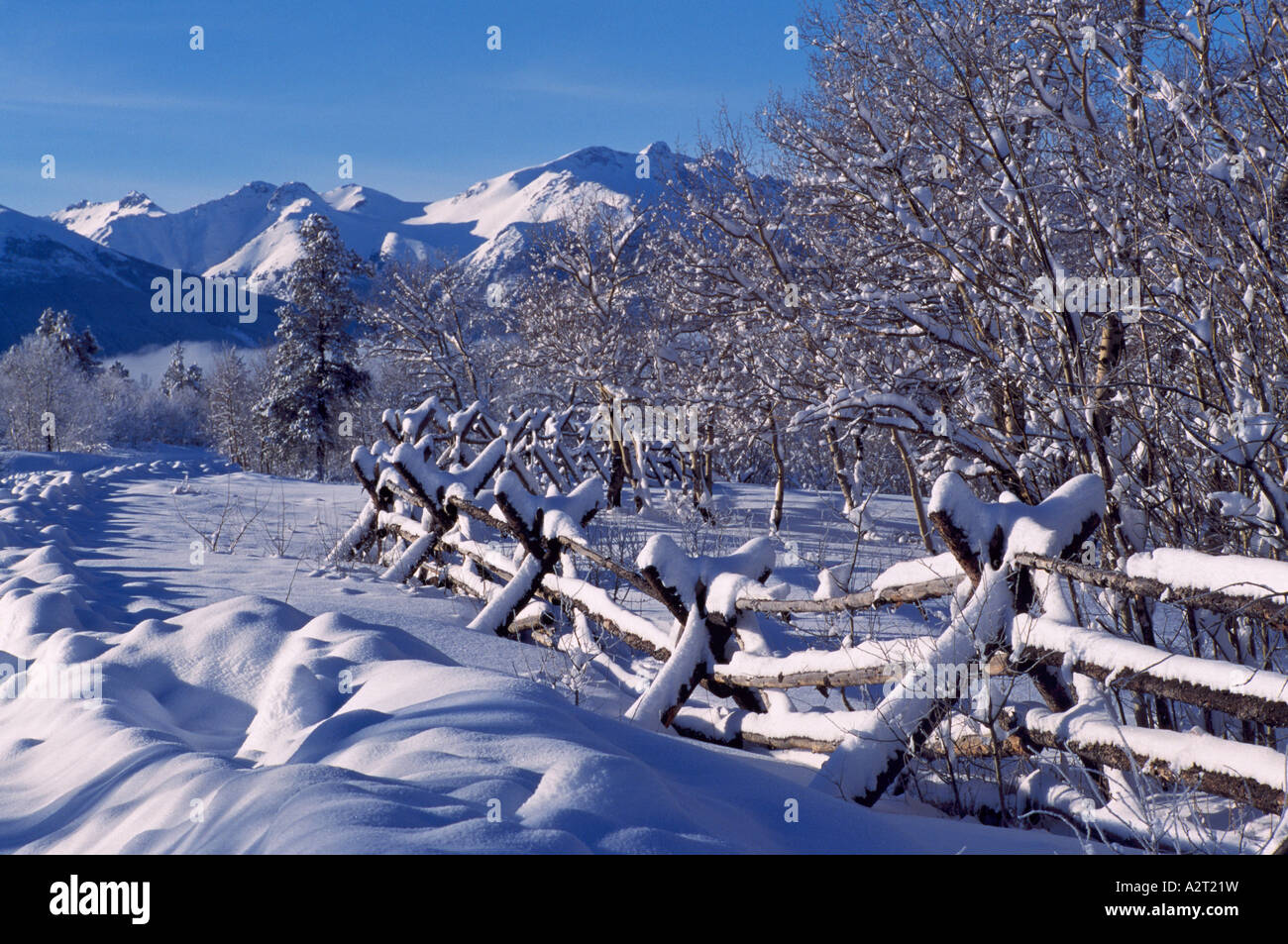 The Nemaiah Valley and the Coast Mountains in the Cariboo Chilcotin