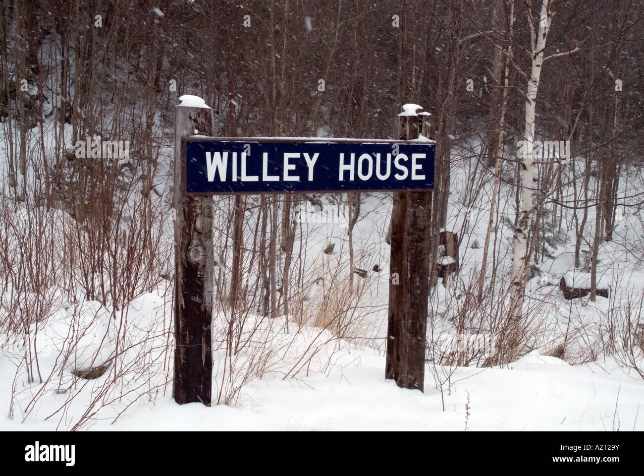 Willey House Station site, near the Appalachian Trail (Ethan Pond Trail