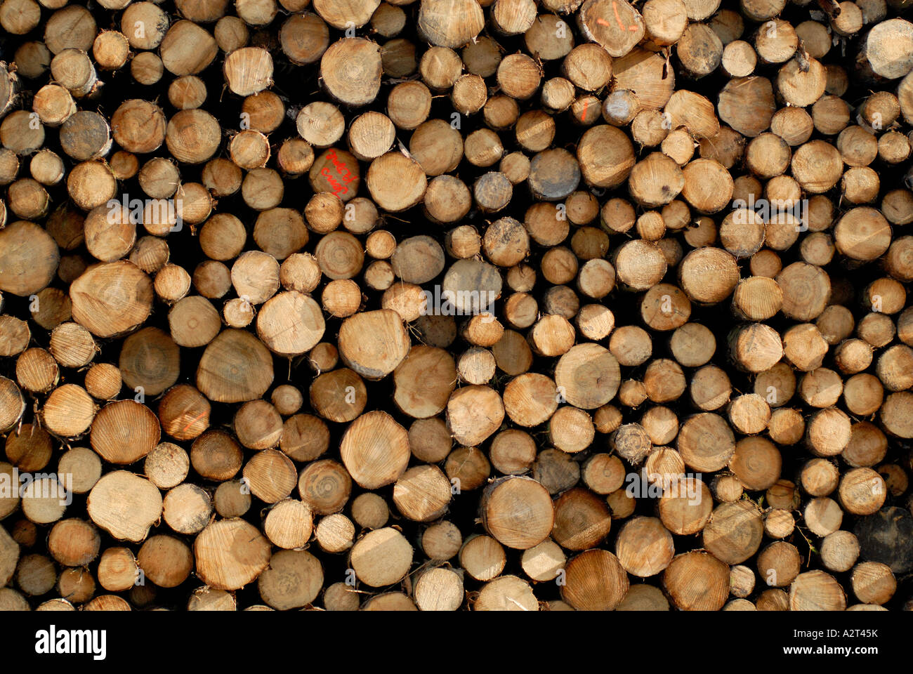 Pile of timber Stock Photo - Alamy