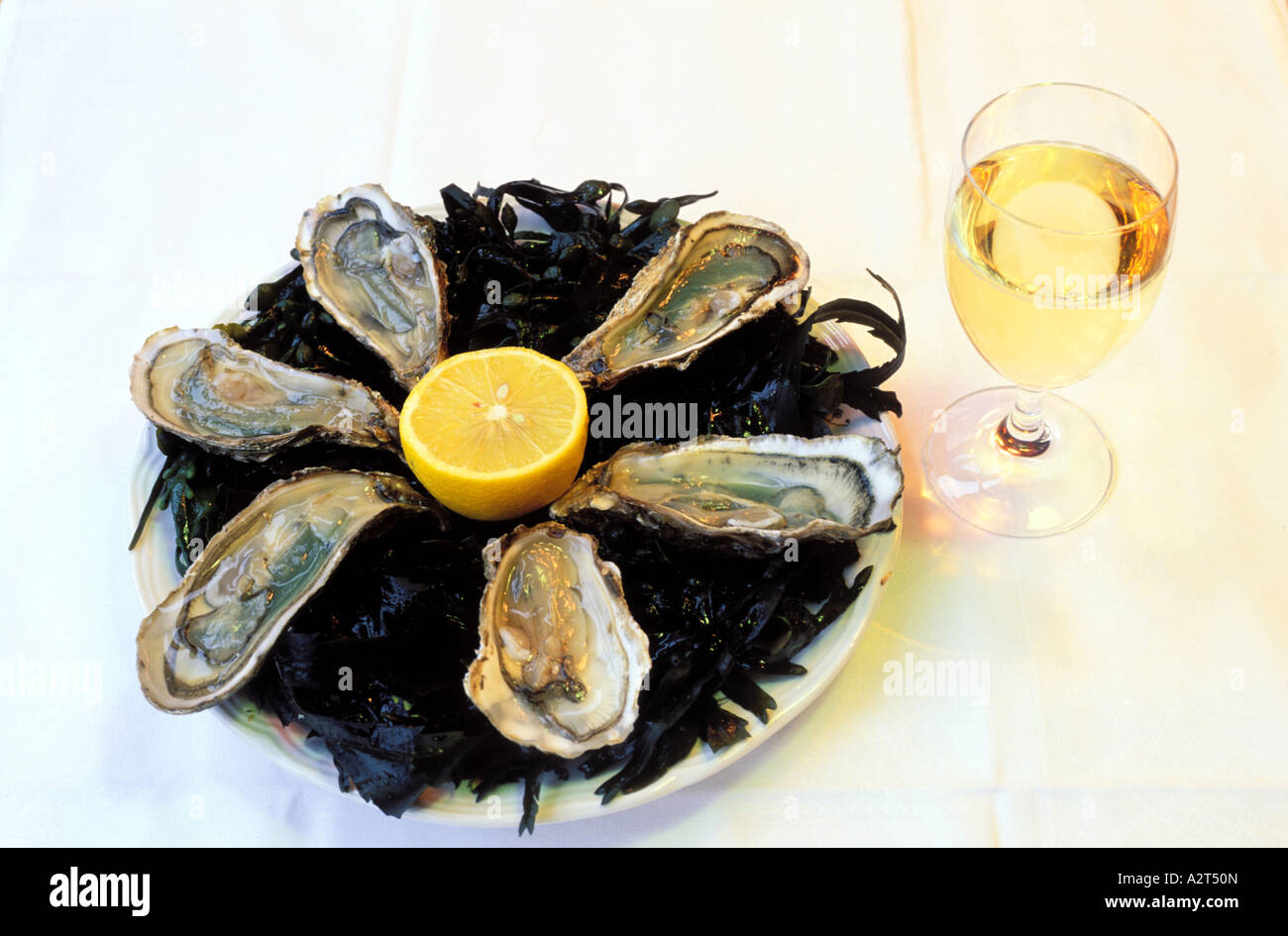 France Normandy plate of oysters Stock Photo Alamy