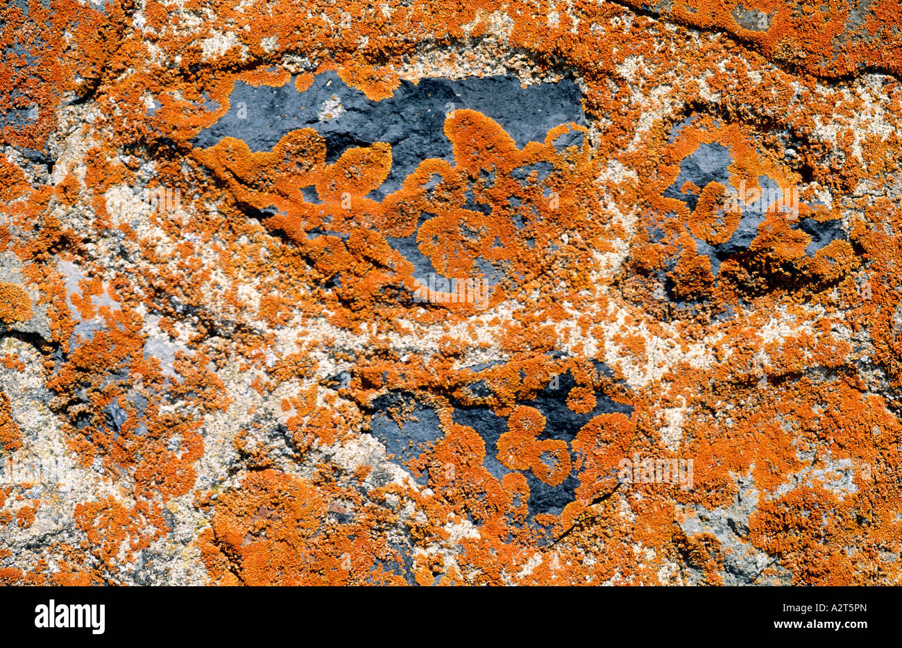 Basalt stone hires stock photography and images Alamy