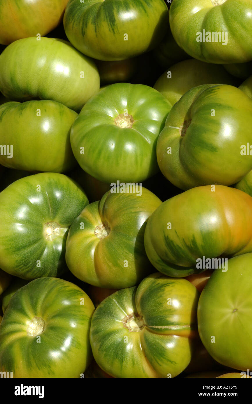 Green tomatoes at a vegetable market Stock Photo - Alamy
