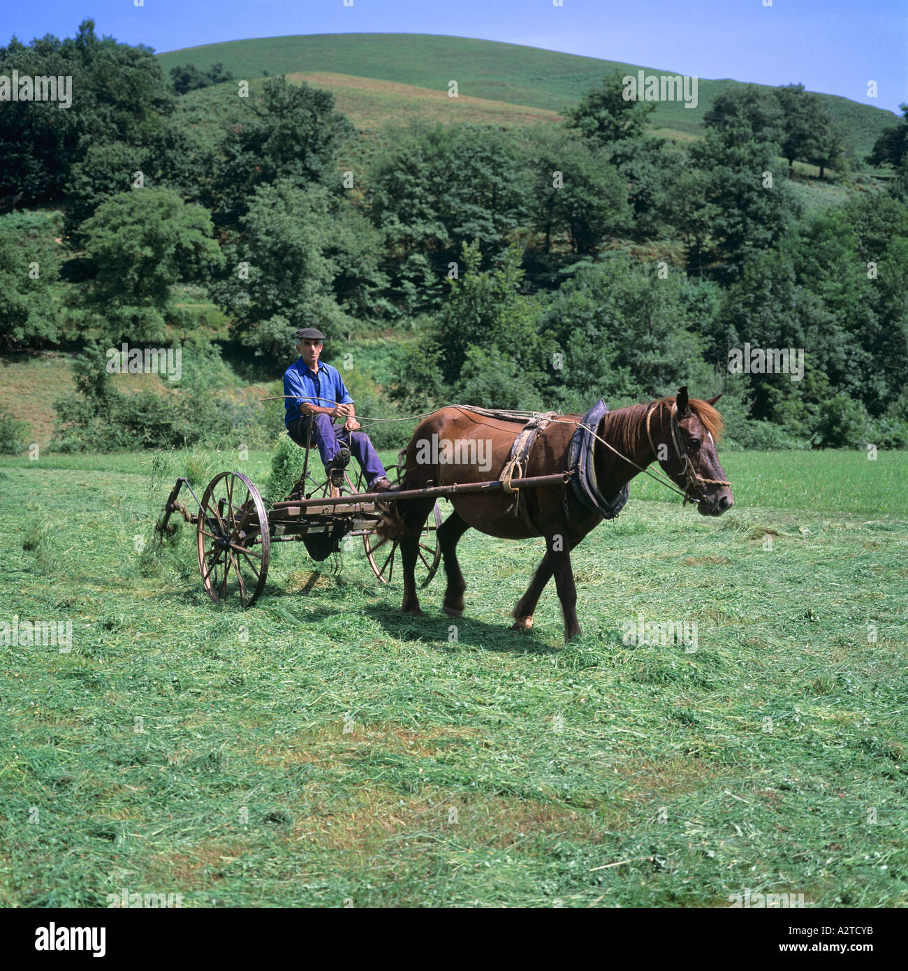 FARMER TURNING HAY WITH A HORSEDRAWN TEDDER BASQUE COUNTRY FRANCE