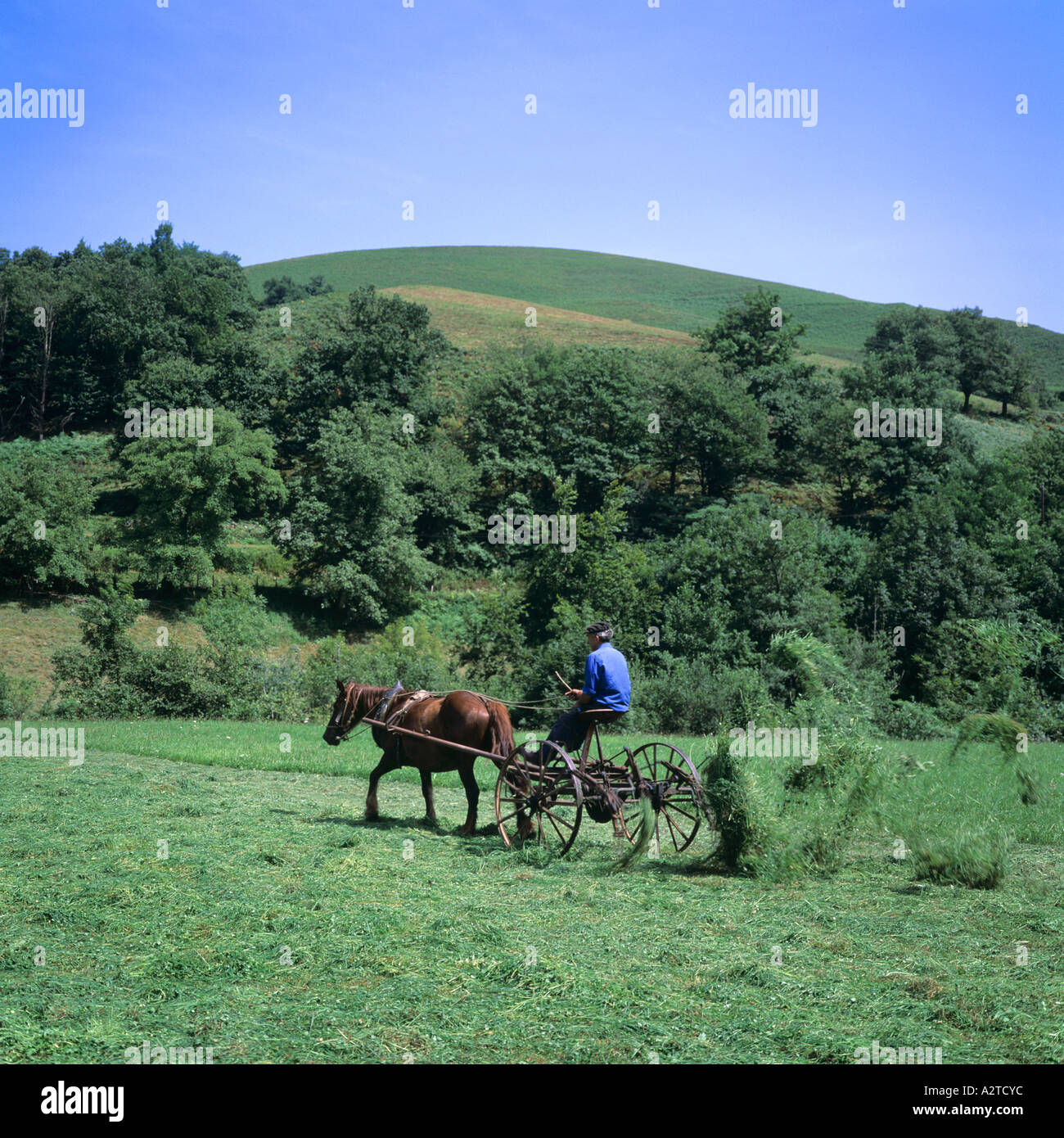 FARMER TURNING HAY WITH A HORSEDRAWN TEDDER BASQUE COUNTRY FRANCE