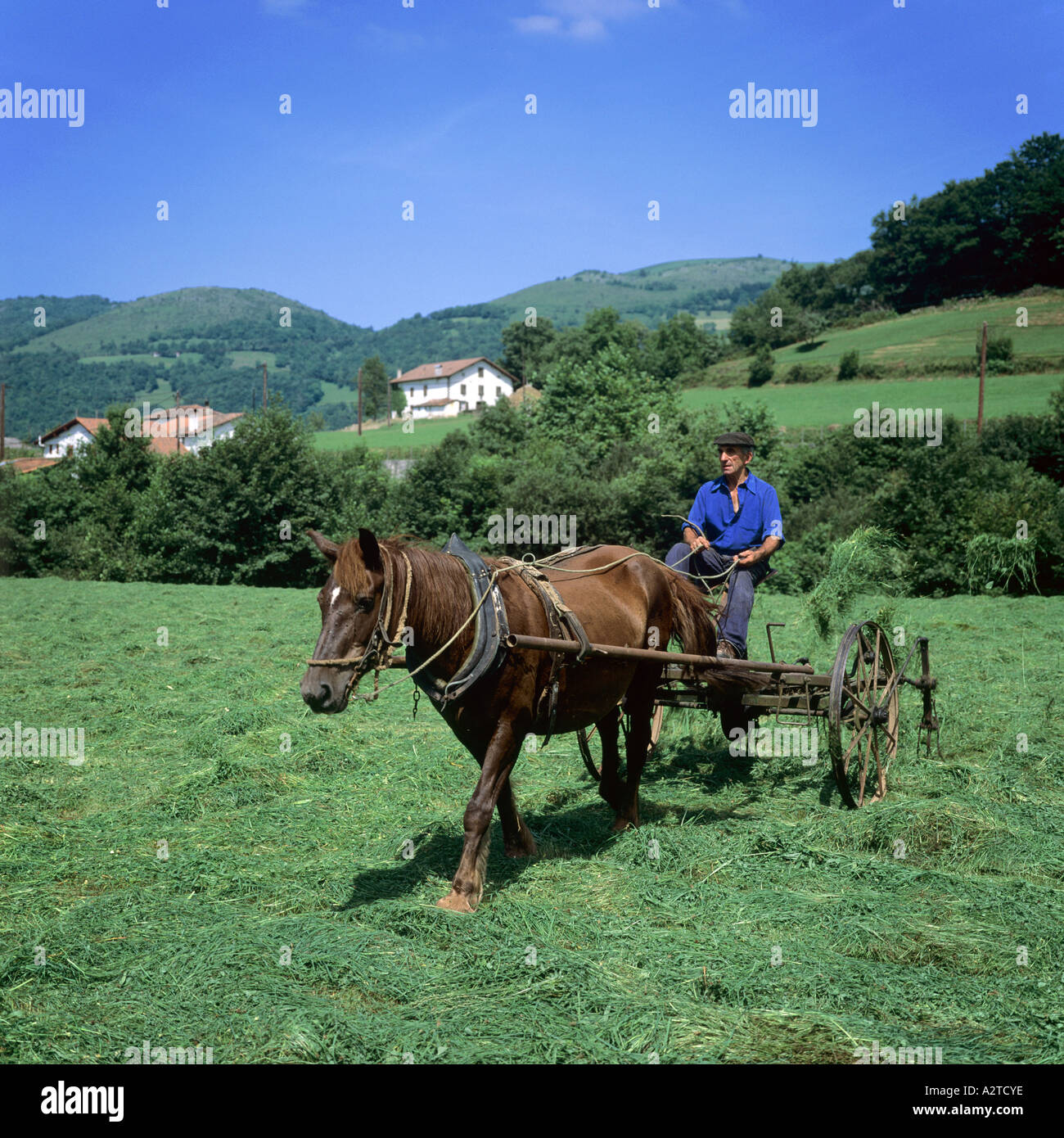 FARMER TURNING HAY WITH A HORSEDRAWN TEDDER PYRENEES ATLANTIQUES