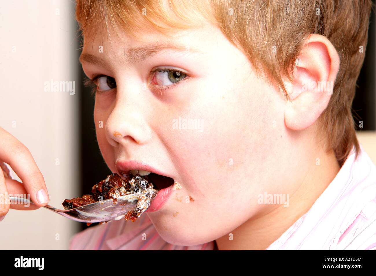 Young Boy Eating Christmas Pudding Model Released Stock Photo ...