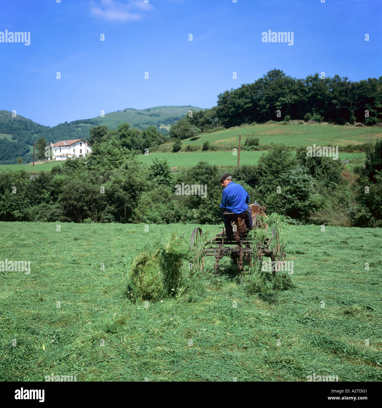 FARMER TURNING HAY WITH A HORSEDRAWN TEDDER BASQUE COUNTRY FRANCE