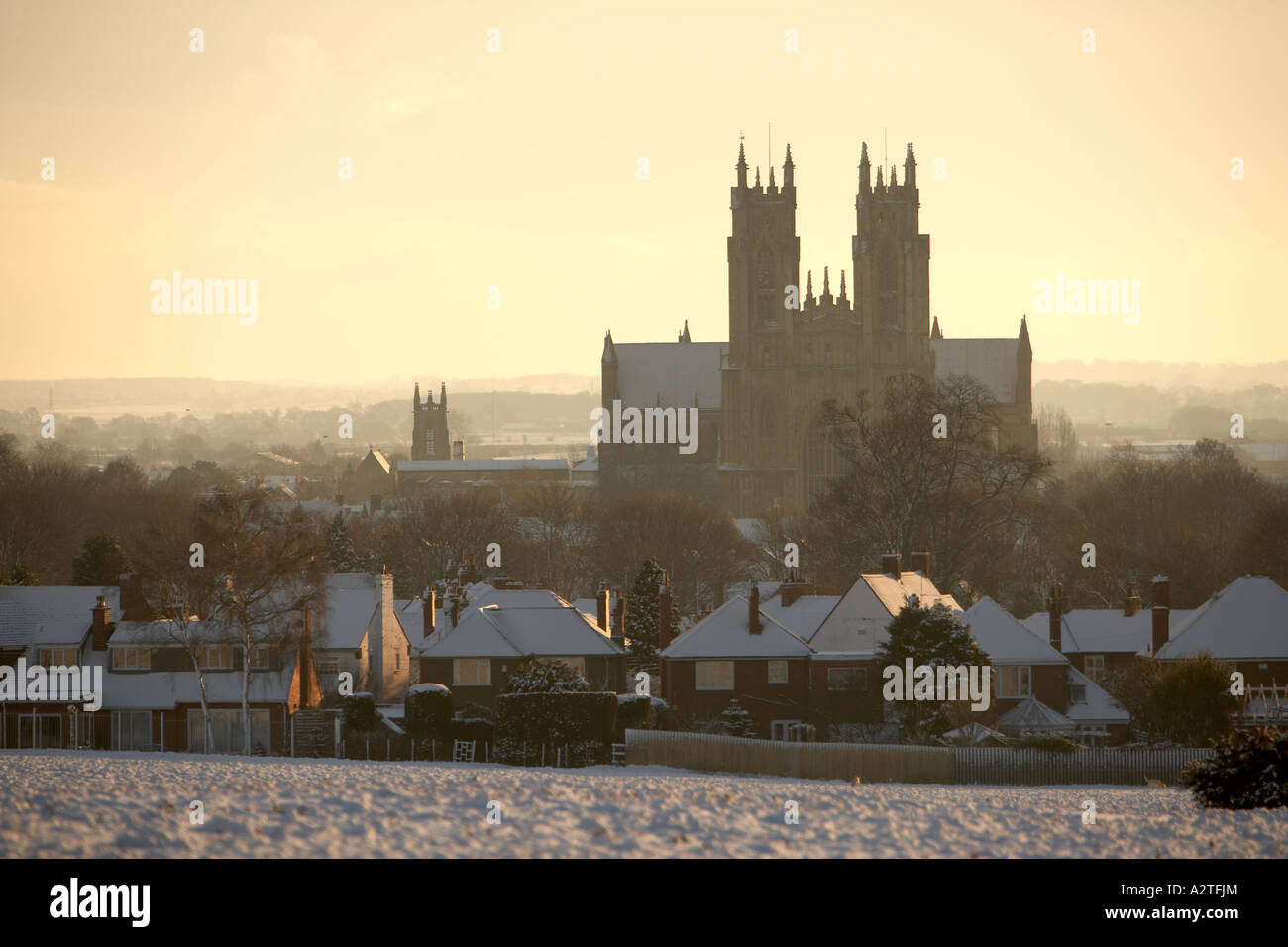 Beverley Minster and tree branches covered in snow seen from the Westwood  East Yorkshire Engalnd UK Stock Photo