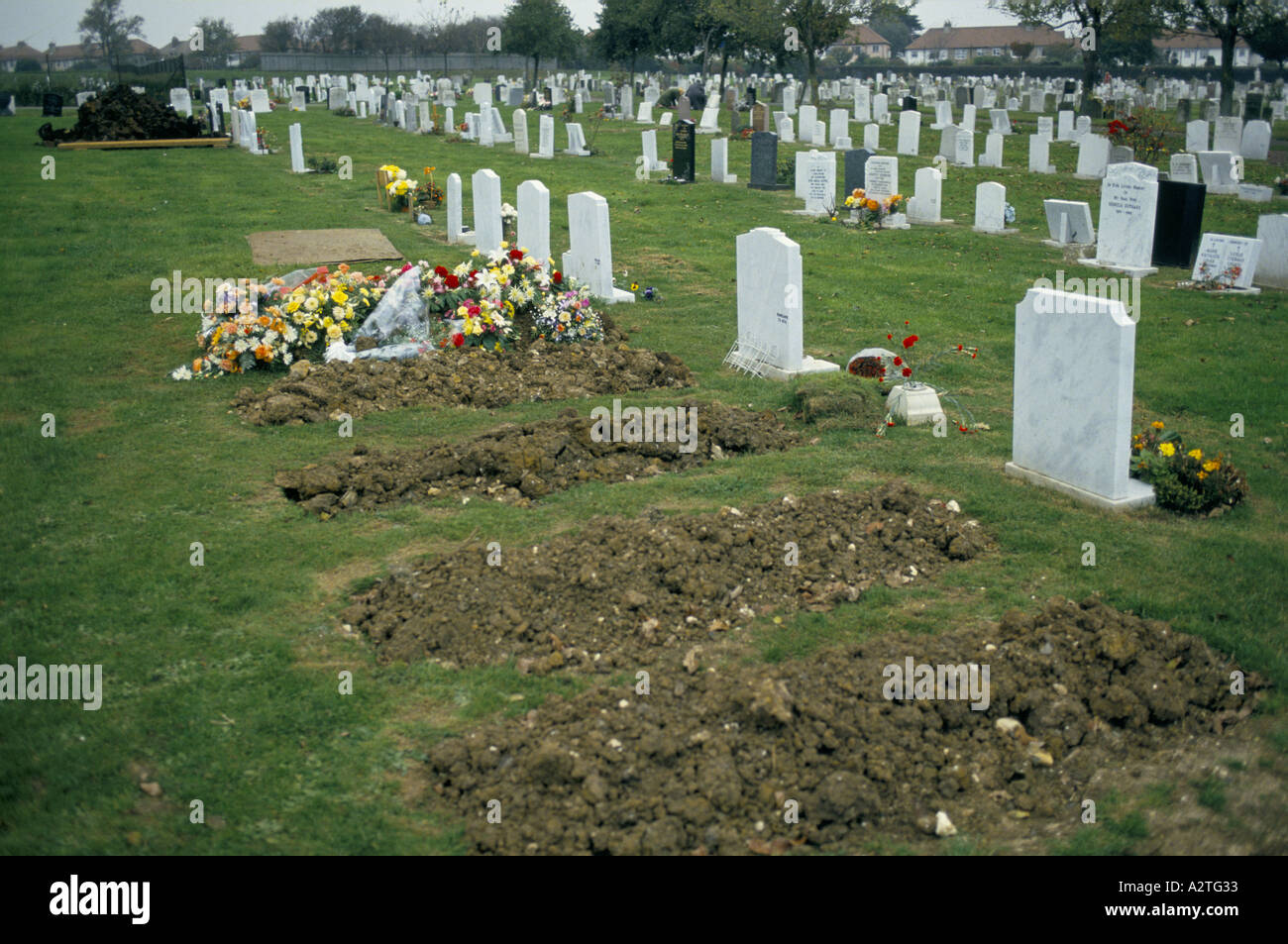 rows of graves in cemetery flowers placed on freshly dug graves hove
